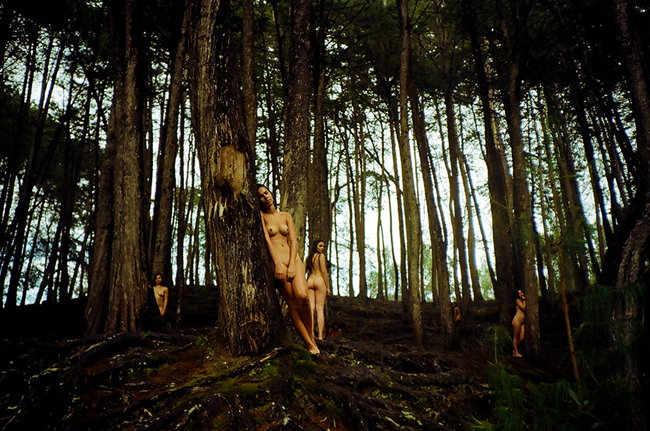 Mujeres brujas en la naturaleza