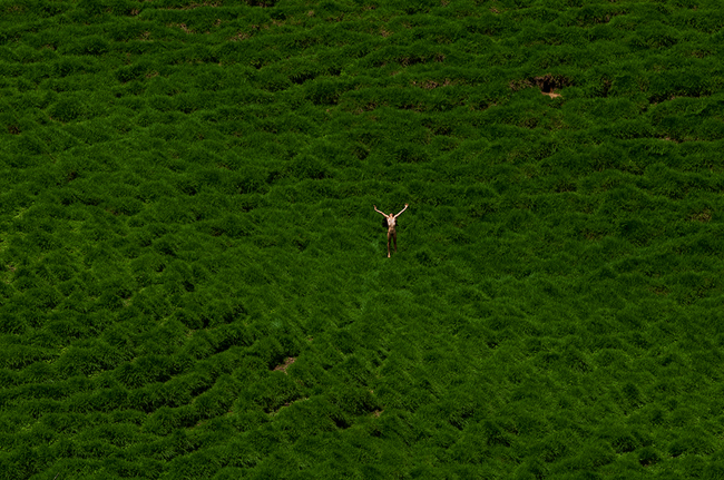 Mujeres brujas en la naturaleza