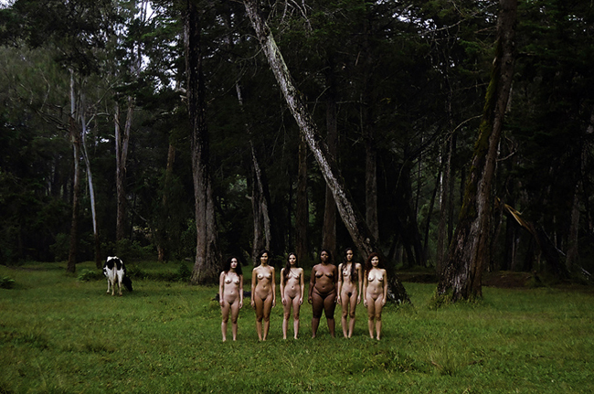 Mujeres brujas en la naturaleza