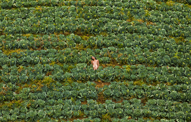 Mujeres brujas en la naturaleza