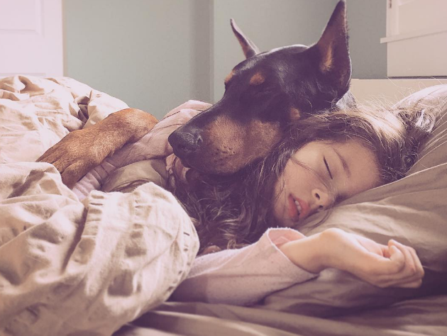 Amistad entre niña y doberman