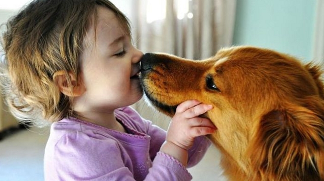 Bebés con sus perritos