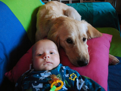 Bebés con sus perritos