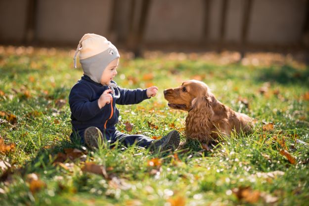 Bebés con sus perritos