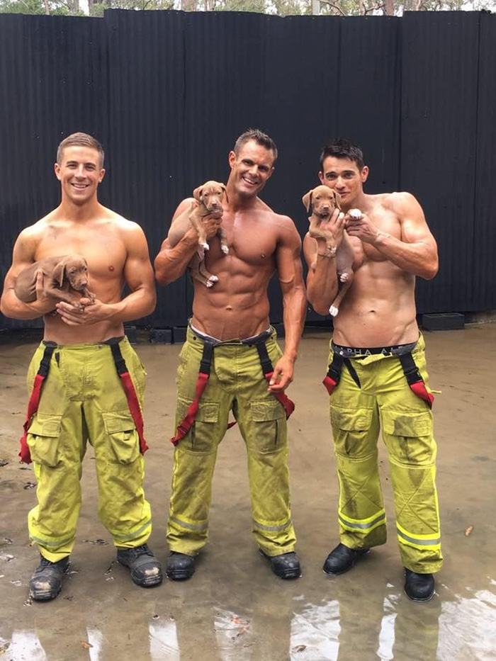 Calendario de bomberos y cachorros