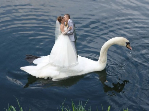 Fotos de bodas rusas