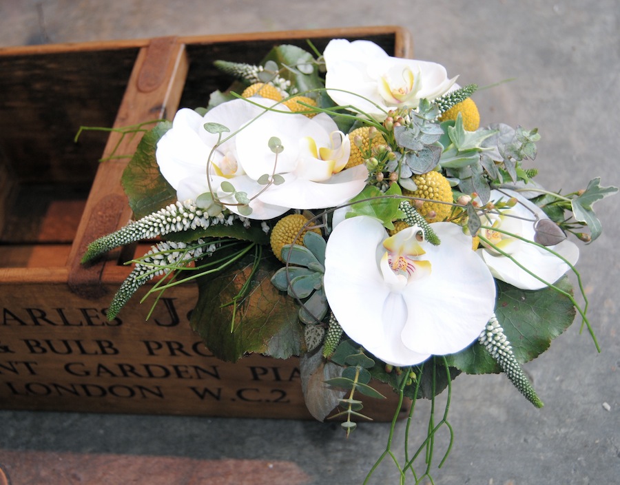 Las mejores flores para regalar en Navidad