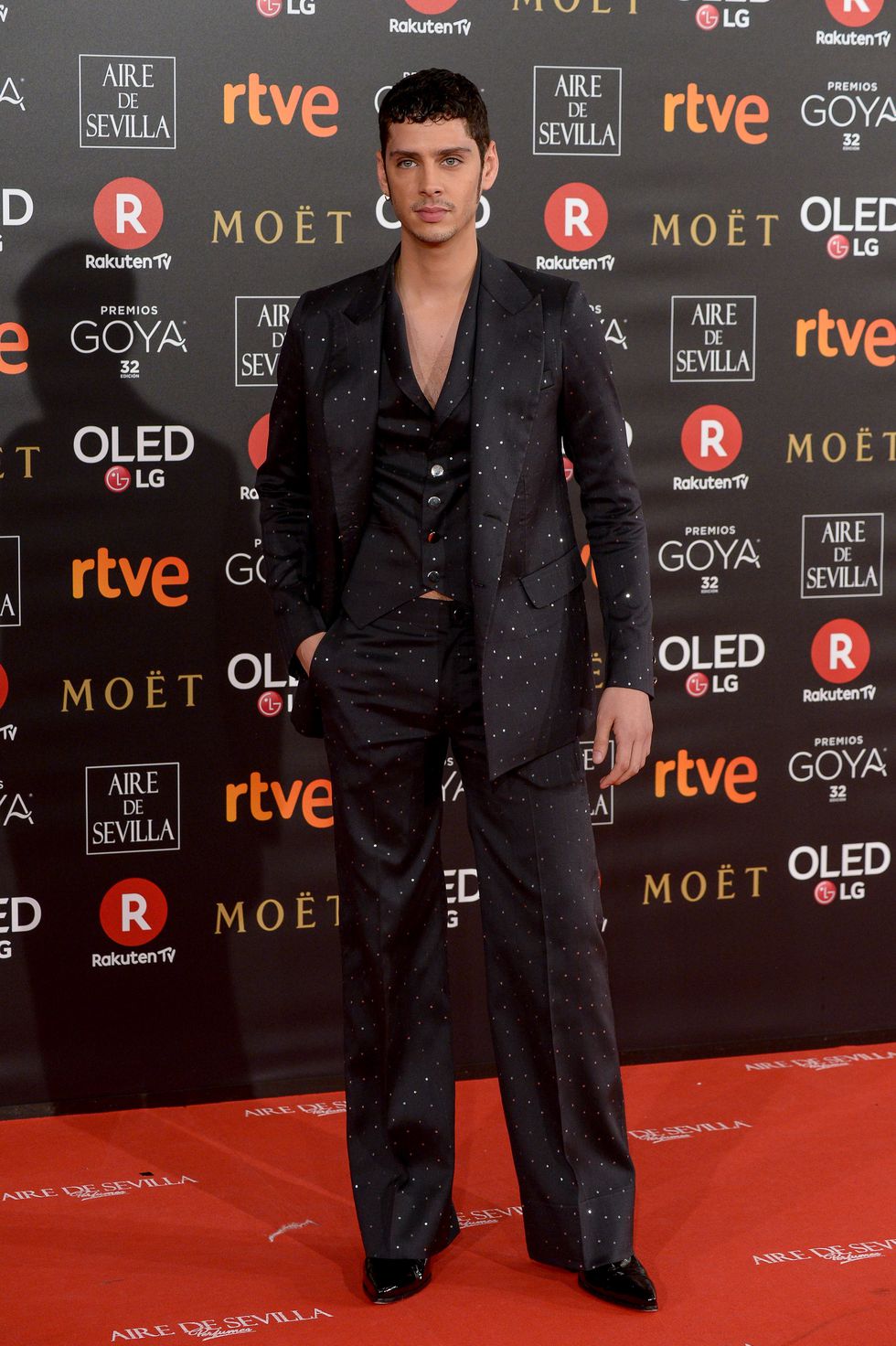 Alfombra roja de los Goya 2018