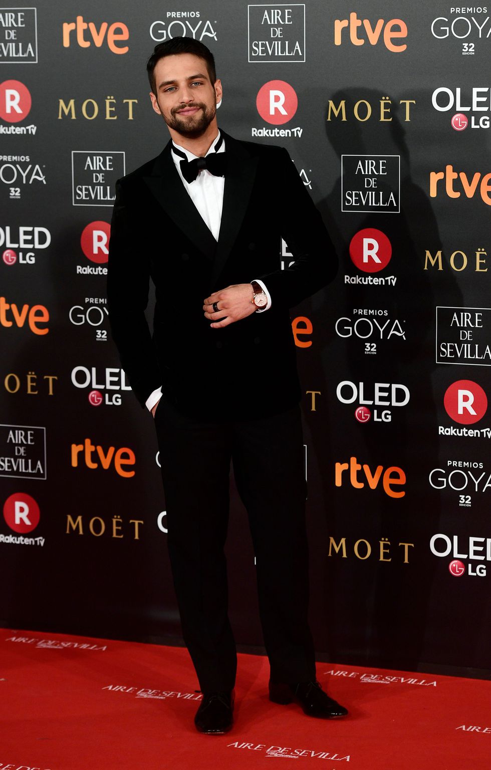 Alfombra roja de los Goya 2018