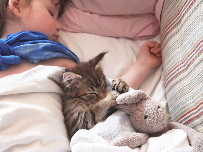 Niña autista y su gato