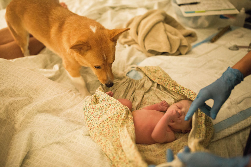 Su perro la apoya durante el parto