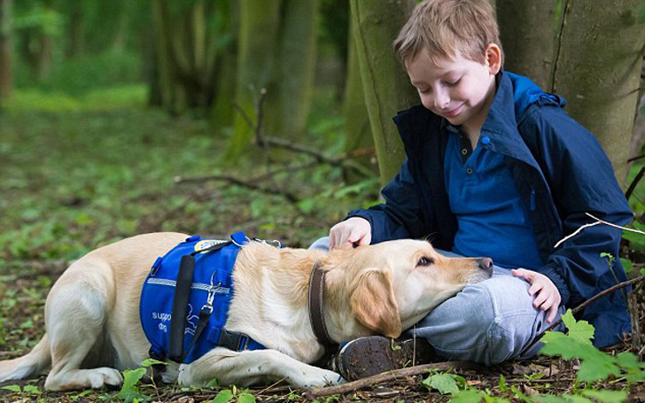 Perros que cuidan de niños