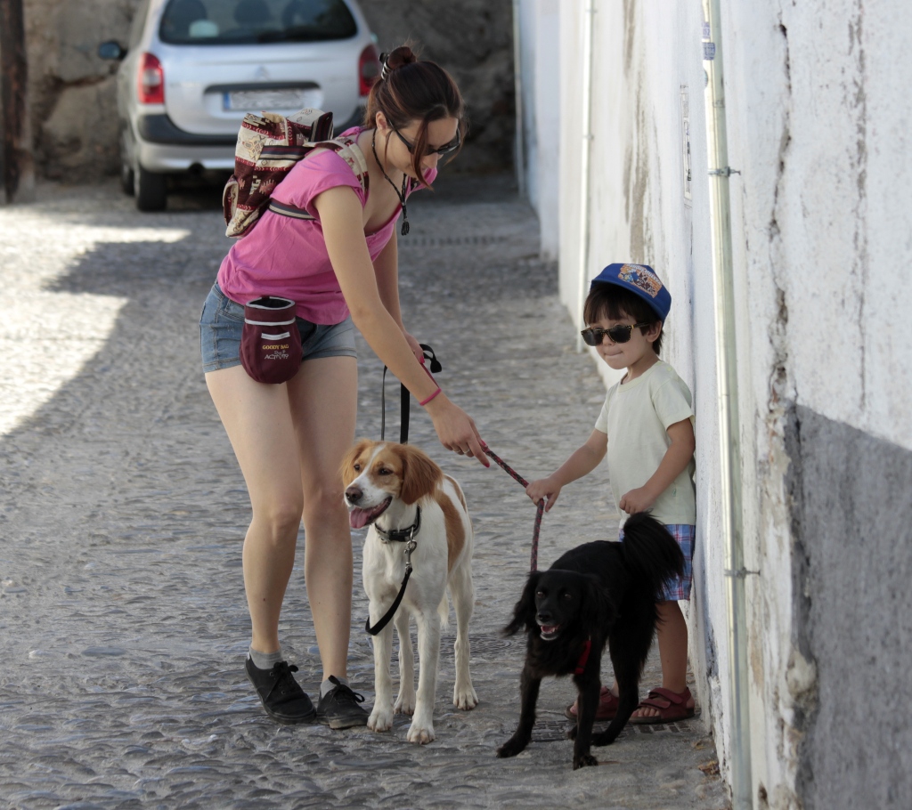 Perros que cuidan de niños