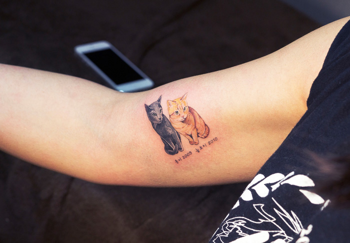 Tatuarte a tu gato 