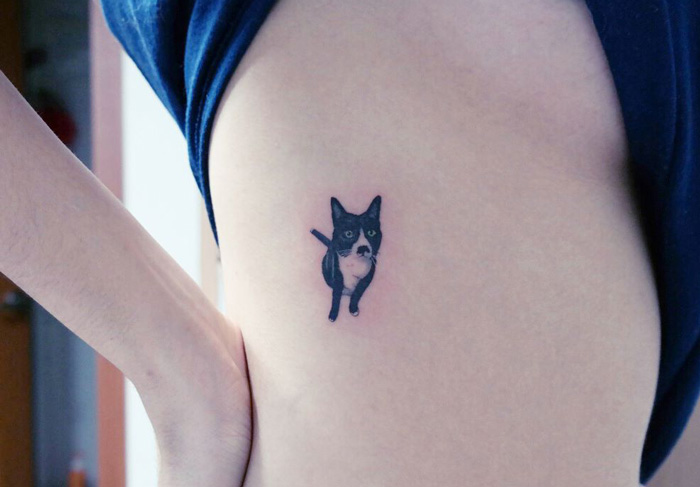 Tatuarte a tu gato 