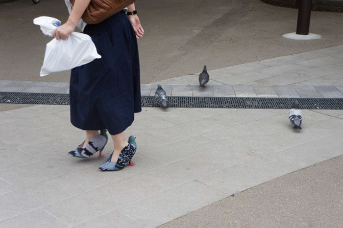 Zapatos japoneses en forma de palomas