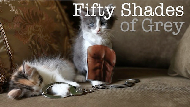 fifty shades of miau