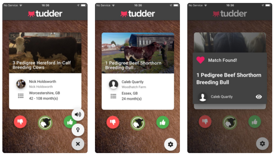 Una app estilo TINDER para LAS VACAS