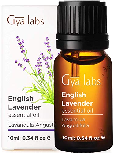 Aceite Esencial de Lavanda Inglesa - Una Marea Serena de Relajación para Noches Tranquilas y Belleza Radiante (10 ml) - Aceite de Lavanda Inglés de Grado Terapéutico 100% Puro