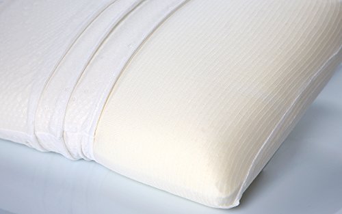 Dormio - Almohada viscoelástica con perfecta adaptabilidad al cuello, Tejido Aloe Vera, Termorregulable, Blanco, 90 cm