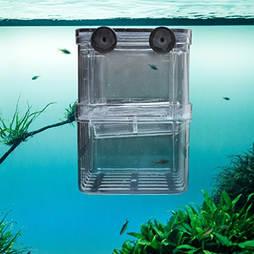 EFORCAR 1pcs multifuncional Fish Box Cría de aislamiento que cuelga del tanque de pescados del acuario incubadora de accesorios