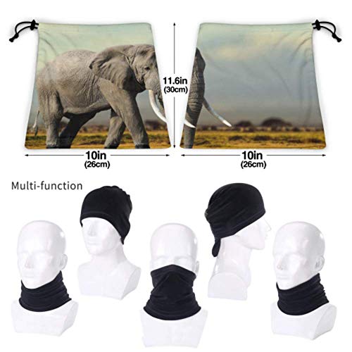 Elefante africano Parque Nacional de Masai Mara Máscara de pasamontañas de cara completa Correr Sombreros Cara de los niños Máscara de pañuelo Multifunción para el clima frío de invierno Mantener el