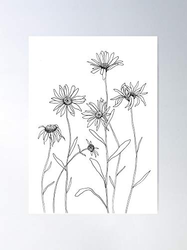 Floral Daisy Nature Black White And Flower Camomile Impresionantes carteles para la decoración de la habitación impresos con la última tecnología moderna sobre papel semibrillante