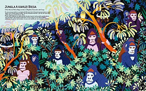 Jungles Selves, boscos i reserves naturals de la Terra