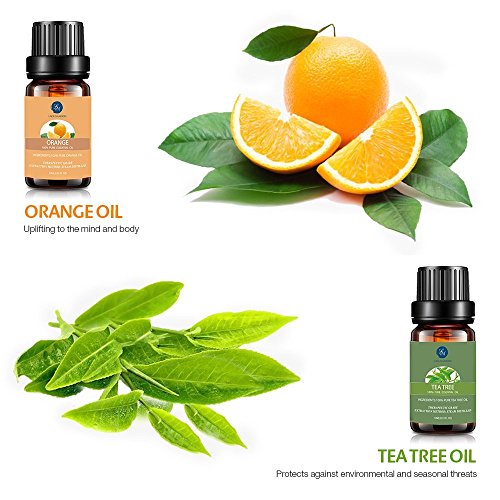 Lagunamoon Aceites Esenciales, Top 6 Set de Regalo de Aceites de Aromaterapia de Lavanda Eucalipto Hierba de Limón Menta Arból de Té y Naranja, Aceites Esenciales para Humidificadores 100% Puros