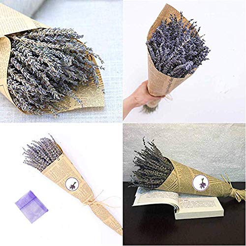 Ramo de flores secas naturales de lavanda – Ramo de lavanda recién cosechado, morado, decoración para bodas, manualidades, hogar, fiestas o regalo por San Valentín