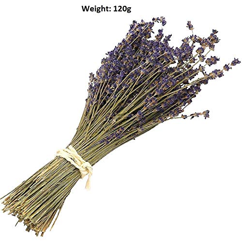 Ramo de flores secas naturales de lavanda – Ramo de lavanda recién cosechado, morado, decoración para bodas, manualidades, hogar, fiestas o regalo por San Valentín