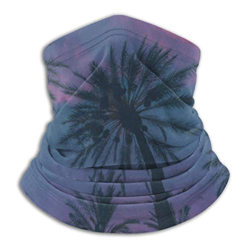 WlQshop Calentadores de Cuello Palm Tree And Sky Neck Gaiter Mascarilla Bufandas Headband For Men Women Sun UV Wind Dust Protection Skiing Riding Running