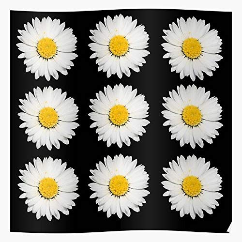 Yellow Flower Floral Nature Plant White Pattern Camomile Impresionantes carteles para la decoración de la habitación impresos con la última tecnología moderna sobre papel semibrillante