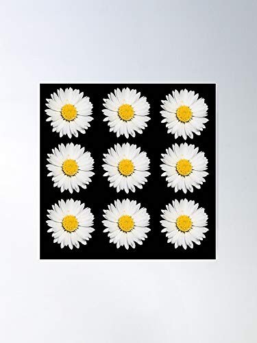 Yellow Flower Floral Nature Plant White Pattern Camomile Impresionantes carteles para la decoración de la habitación impresos con la última tecnología moderna sobre papel semibrillante