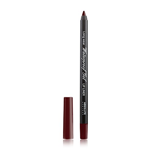 Absolute Ny Perfilador de labios waterproof gel chocolate 21 g