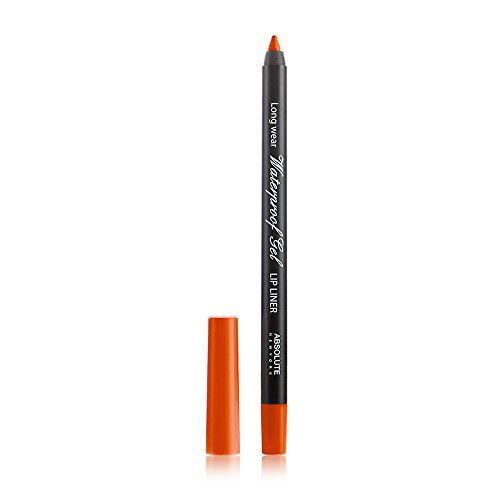 Absolute Ny Perfilador de labios waterproof gel orange 21 g