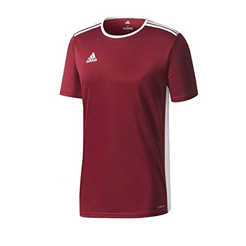 adidas Entrada 104 Camiseta de Fútbol para Hombre de Cuello Redondo en Contraste, Marrón (Maroon/White), XS