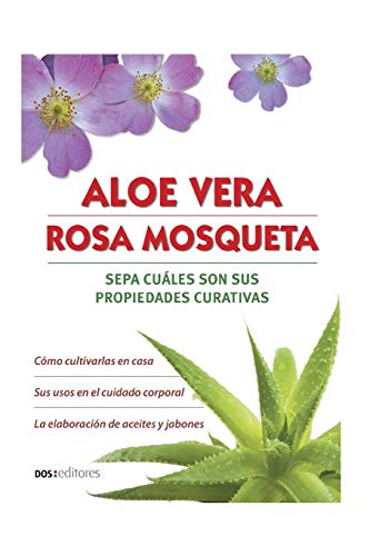 ALOE VERA - ROSA MOSQUETA: sepa cuáles son sus propiedades curativas