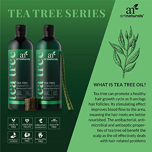 Art Naturals Juego de champú y acondicionador de aceite de árbol de té con aceite esencial de grado terapéutico para limpieza profunda de caspa, el cuero cabelludo seco y el cabello con picazón 473ml