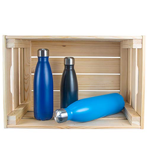 arteesol Botella de vacío de Acero Inoxidable, Botella de Agua con Aislamiento de Vacío de Doble Pared Libre de BPA a Prueba de Fugas-350/500/750/1000ml para Deportes, Viajes, Escuela, Oficina