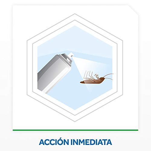 Baygon - Insecticida contra cucarachas y hormigas, Formula Plus, acción rápida y efecto duradero, 400ml