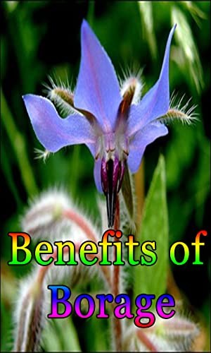 Benefits of Borage