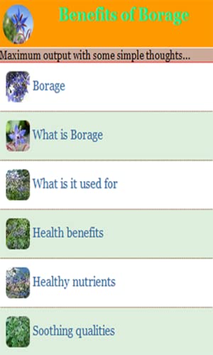 Benefits of Borage