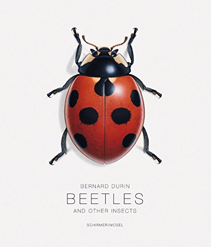 Bernard Durin: Beetles and Other Insects