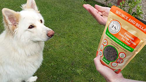 Bounce and Bella Premios para Perro Sin Cereales Bolsa de 800 Snacks Sabrosos y Saludables – 80% Carne Fresca de Ave, 20% Patata y Boniato – Premios Hipoalergénicos para Perros de Estómago Sensible