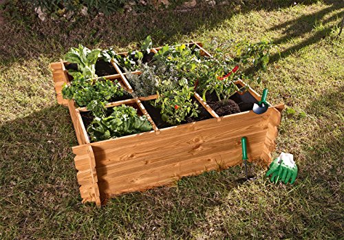 Catral 31090013 - Huerto urbano Seed Planter 120, 40 x 120 x 120 cm, madera de pino