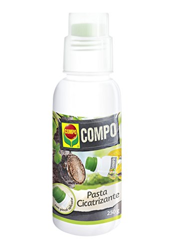 Compo Pasta cicatrizante, para heridas de poda y protección de injertos, con Pincel aplicador, 250 g