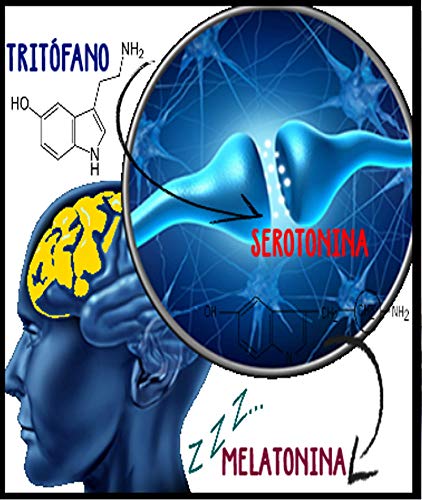 DIETMED MELATONOX 60 Comprimidos Melatonina + Valeriana + Triptofano, Induce al sueño, mejora el sueño, regulación del sueño, reduce la ansiedad, ayuda para dormir, efecto duradero. Mejora animo