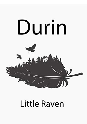 Durin: Little Raven (English Edition)