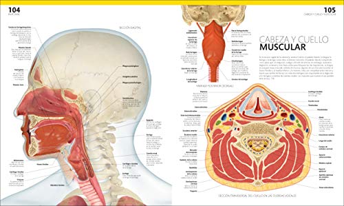 El gran libro del cuerpo humano.: La guía visual definitiva actualizada y ampliada, segunda edición (Conocimiento)